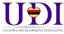 UDI logo