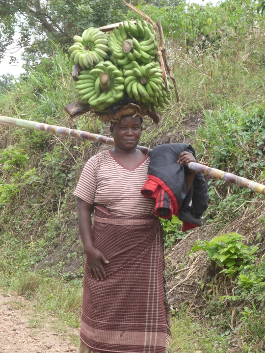 Fact: subsistence