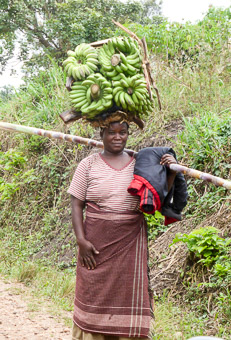 Lady carrying bananas and sugar cane